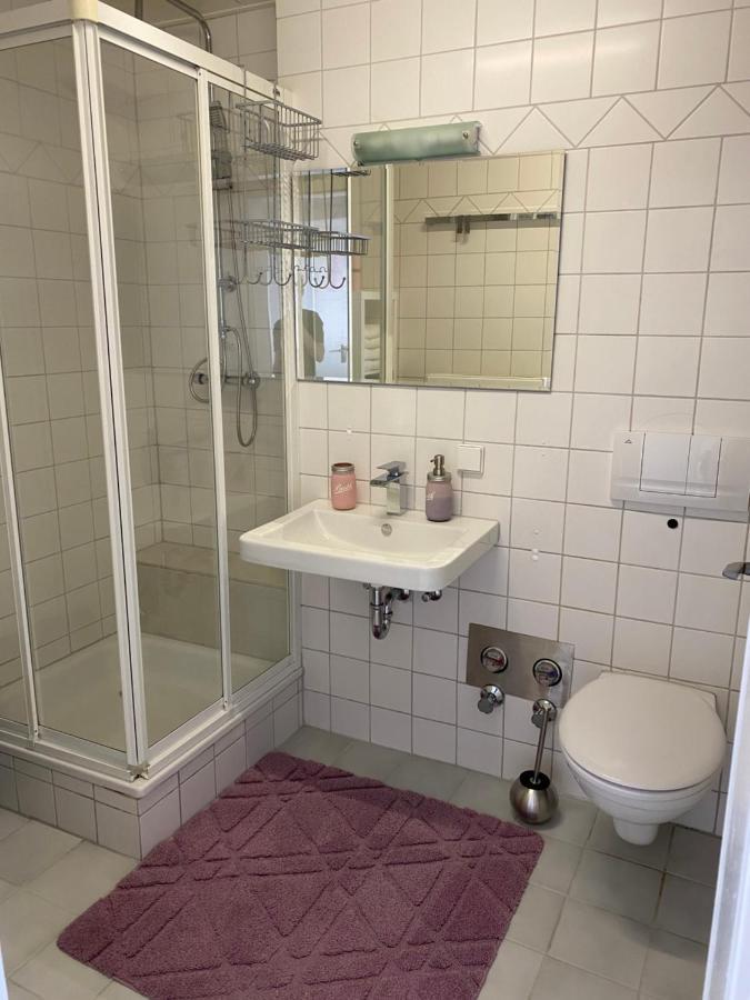 Moderne Ferien-Dachwohnung In Idyllischer Lage Neuweiler  Bagian luar foto